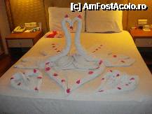 [P02]  -- <small>// FĂRĂ DESCRIERE</small> » foto by andy89
 - 
<span class="allrVoted glyphicon glyphicon-heart hidden" id="av222351"></span>
<a class="m-l-10 hidden" id="sv222351" onclick="voting_Foto_DelVot(,222351,4114)" role="button">șterge vot <span class="glyphicon glyphicon-remove"></span></a>
<a id="v9222351" class=" c-red"  onclick="voting_Foto_SetVot(222351)" role="button"><span class="glyphicon glyphicon-heart-empty"></span> <b>LIKE</b> = Votează poza</a> <img class="hidden"  id="f222351W9" src="/imagini/loader.gif" border="0" /><span class="AjErrMes hidden" id="e222351ErM"></span>