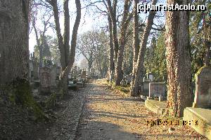 [P34] Cimitirul Evanghelic » foto by crismis
 - 
<span class="allrVoted glyphicon glyphicon-heart hidden" id="av589142"></span>
<a class="m-l-10 hidden" id="sv589142" onclick="voting_Foto_DelVot(,589142,4175)" role="button">șterge vot <span class="glyphicon glyphicon-remove"></span></a>
<a id="v9589142" class=" c-red"  onclick="voting_Foto_SetVot(589142)" role="button"><span class="glyphicon glyphicon-heart-empty"></span> <b>LIKE</b> = Votează poza</a> <img class="hidden"  id="f589142W9" src="/imagini/loader.gif" border="0" /><span class="AjErrMes hidden" id="e589142ErM"></span>