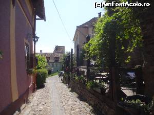 [P02] Straduta in Sighisoara.  » foto by blondwolf
 - 
<span class="allrVoted glyphicon glyphicon-heart hidden" id="av625686"></span>
<a class="m-l-10 hidden" id="sv625686" onclick="voting_Foto_DelVot(,625686,4175)" role="button">șterge vot <span class="glyphicon glyphicon-remove"></span></a>
<a id="v9625686" class=" c-red"  onclick="voting_Foto_SetVot(625686)" role="button"><span class="glyphicon glyphicon-heart-empty"></span> <b>LIKE</b> = Votează poza</a> <img class="hidden"  id="f625686W9" src="/imagini/loader.gif" border="0" /><span class="AjErrMes hidden" id="e625686ErM"></span>