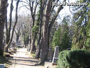 [P26] Alee în cimitirul evanghelic » foto by Michi
 - 
<span class="allrVoted glyphicon glyphicon-heart hidden" id="av505886"></span>
<a class="m-l-10 hidden" id="sv505886" onclick="voting_Foto_DelVot(,505886,4175)" role="button">șterge vot <span class="glyphicon glyphicon-remove"></span></a>
<a id="v9505886" class=" c-red"  onclick="voting_Foto_SetVot(505886)" role="button"><span class="glyphicon glyphicon-heart-empty"></span> <b>LIKE</b> = Votează poza</a> <img class="hidden"  id="f505886W9" src="/imagini/loader.gif" border="0" /><span class="AjErrMes hidden" id="e505886ErM"></span>