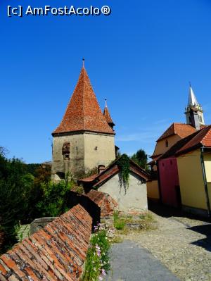 [P04] Fortificații sighișorene. » foto by tata123 🔱
 - 
<span class="allrVoted glyphicon glyphicon-heart hidden" id="av1203158"></span>
<a class="m-l-10 hidden" id="sv1203158" onclick="voting_Foto_DelVot(,1203158,4175)" role="button">șterge vot <span class="glyphicon glyphicon-remove"></span></a>
<a id="v91203158" class=" c-red"  onclick="voting_Foto_SetVot(1203158)" role="button"><span class="glyphicon glyphicon-heart-empty"></span> <b>LIKE</b> = Votează poza</a> <img class="hidden"  id="f1203158W9" src="/imagini/loader.gif" border="0" /><span class="AjErrMes hidden" id="e1203158ErM"></span>