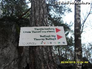 [P130] spre Grota Timsos (cu alaun) se merge inca 40 minute de la Grota Sulfuroasa-sau cel putin asa a scris cineva pe placuta » foto by adryana
 - 
<span class="allrVoted glyphicon glyphicon-heart hidden" id="av612764"></span>
<a class="m-l-10 hidden" id="sv612764" onclick="voting_Foto_DelVot(,612764,4197)" role="button">șterge vot <span class="glyphicon glyphicon-remove"></span></a>
<a id="v9612764" class=" c-red"  onclick="voting_Foto_SetVot(612764)" role="button"><span class="glyphicon glyphicon-heart-empty"></span> <b>LIKE</b> = Votează poza</a> <img class="hidden"  id="f612764W9" src="/imagini/loader.gif" border="0" /><span class="AjErrMes hidden" id="e612764ErM"></span>