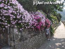 [P68] Corniglia-partea a doua a drumului catre gara » foto by georgiana
 - 
<span class="allrVoted glyphicon glyphicon-heart hidden" id="av246307"></span>
<a class="m-l-10 hidden" id="sv246307" onclick="voting_Foto_DelVot(,246307,4285)" role="button">șterge vot <span class="glyphicon glyphicon-remove"></span></a>
<a id="v9246307" class=" c-red"  onclick="voting_Foto_SetVot(246307)" role="button"><span class="glyphicon glyphicon-heart-empty"></span> <b>LIKE</b> = Votează poza</a> <img class="hidden"  id="f246307W9" src="/imagini/loader.gif" border="0" /><span class="AjErrMes hidden" id="e246307ErM"></span>