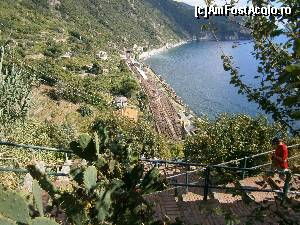 [P01] Corniglia » foto by dianamea
 - 
<span class="allrVoted glyphicon glyphicon-heart hidden" id="av558116"></span>
<a class="m-l-10 hidden" id="sv558116" onclick="voting_Foto_DelVot(,558116,4285)" role="button">șterge vot <span class="glyphicon glyphicon-remove"></span></a>
<a id="v9558116" class=" c-red"  onclick="voting_Foto_SetVot(558116)" role="button"><span class="glyphicon glyphicon-heart-empty"></span> <b>LIKE</b> = Votează poza</a> <img class="hidden"  id="f558116W9" src="/imagini/loader.gif" border="0" /><span class="AjErrMes hidden" id="e558116ErM"></span>