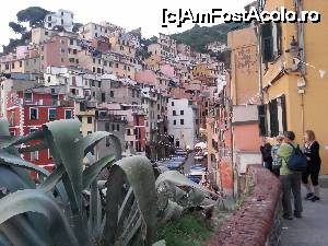 [P22] Riomaggiore » foto by Mika
 - 
<span class="allrVoted glyphicon glyphicon-heart hidden" id="av687266"></span>
<a class="m-l-10 hidden" id="sv687266" onclick="voting_Foto_DelVot(,687266,4285)" role="button">șterge vot <span class="glyphicon glyphicon-remove"></span></a>
<a id="v9687266" class=" c-red"  onclick="voting_Foto_SetVot(687266)" role="button"><span class="glyphicon glyphicon-heart-empty"></span> <b>LIKE</b> = Votează poza</a> <img class="hidden"  id="f687266W9" src="/imagini/loader.gif" border="0" /><span class="AjErrMes hidden" id="e687266ErM"></span>