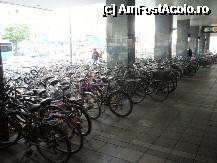 [P68] Munchen - parcare de biciclete, lângă Hauptbahnhoff... Oare cum îşi iau ăia mai din mijloc 'bidiviul'?!? » foto by Dragoș_MD
 - 
<span class="allrVoted glyphicon glyphicon-heart hidden" id="av220330"></span>
<a class="m-l-10 hidden" id="sv220330" onclick="voting_Foto_DelVot(,220330,4310)" role="button">șterge vot <span class="glyphicon glyphicon-remove"></span></a>
<a id="v9220330" class=" c-red"  onclick="voting_Foto_SetVot(220330)" role="button"><span class="glyphicon glyphicon-heart-empty"></span> <b>LIKE</b> = Votează poza</a> <img class="hidden"  id="f220330W9" src="/imagini/loader.gif" border="0" /><span class="AjErrMes hidden" id="e220330ErM"></span>