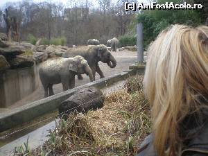 [P08] La Zoo » foto by robert
 - 
<span class="allrVoted glyphicon glyphicon-heart hidden" id="av583487"></span>
<a class="m-l-10 hidden" id="sv583487" onclick="voting_Foto_DelVot(,583487,4310)" role="button">șterge vot <span class="glyphicon glyphicon-remove"></span></a>
<a id="v9583487" class=" c-red"  onclick="voting_Foto_SetVot(583487)" role="button"><span class="glyphicon glyphicon-heart-empty"></span> <b>LIKE</b> = Votează poza</a> <img class="hidden"  id="f583487W9" src="/imagini/loader.gif" border="0" /><span class="AjErrMes hidden" id="e583487ErM"></span>