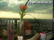 [P42] Olympiapark - panorama din restaurant - fostul sat olimpic » foto by RoF*
 - 
<span class="allrVoted glyphicon glyphicon-heart hidden" id="av377811"></span>
<a class="m-l-10 hidden" id="sv377811" onclick="voting_Foto_DelVot(,377811,4310)" role="button">șterge vot <span class="glyphicon glyphicon-remove"></span></a>
<a id="v9377811" class=" c-red"  onclick="voting_Foto_SetVot(377811)" role="button"><span class="glyphicon glyphicon-heart-empty"></span> <b>LIKE</b> = Votează poza</a> <img class="hidden"  id="f377811W9" src="/imagini/loader.gif" border="0" /><span class="AjErrMes hidden" id="e377811ErM"></span>