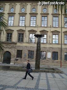 [P10] Germania - Munchen Marienplatz, fantana arteziana » foto by Diaura*
 - 
<span class="allrVoted glyphicon glyphicon-heart hidden" id="av210358"></span>
<a class="m-l-10 hidden" id="sv210358" onclick="voting_Foto_DelVot(,210358,4310)" role="button">șterge vot <span class="glyphicon glyphicon-remove"></span></a>
<a id="v9210358" class=" c-red"  onclick="voting_Foto_SetVot(210358)" role="button"><span class="glyphicon glyphicon-heart-empty"></span> <b>LIKE</b> = Votează poza</a> <img class="hidden"  id="f210358W9" src="/imagini/loader.gif" border="0" /><span class="AjErrMes hidden" id="e210358ErM"></span>