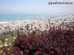 [P101] Haifa - Grădinile Bahá'í, vedere din zona Balconului Yefe Nof » foto by mariana.olaru
 - 
<span class="allrVoted glyphicon glyphicon-heart hidden" id="av628781"></span>
<a class="m-l-10 hidden" id="sv628781" onclick="voting_Foto_DelVot(,628781,4368)" role="button">șterge vot <span class="glyphicon glyphicon-remove"></span></a>
<a id="v9628781" class=" c-red"  onclick="voting_Foto_SetVot(628781)" role="button"><span class="glyphicon glyphicon-heart-empty"></span> <b>LIKE</b> = Votează poza</a> <img class="hidden"  id="f628781W9" src="/imagini/loader.gif" border="0" /><span class="AjErrMes hidden" id="e628781ErM"></span>