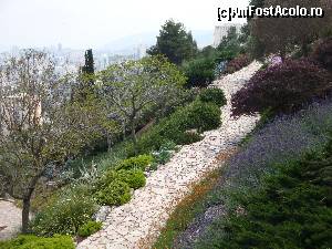 [P80] Haifa - Grădinile Bahá'í, vedere din zona Balconului Yefe Nof » foto by mariana.olaru
 - 
<span class="allrVoted glyphicon glyphicon-heart hidden" id="av628760"></span>
<a class="m-l-10 hidden" id="sv628760" onclick="voting_Foto_DelVot(,628760,4368)" role="button">șterge vot <span class="glyphicon glyphicon-remove"></span></a>
<a id="v9628760" class=" c-red"  onclick="voting_Foto_SetVot(628760)" role="button"><span class="glyphicon glyphicon-heart-empty"></span> <b>LIKE</b> = Votează poza</a> <img class="hidden"  id="f628760W9" src="/imagini/loader.gif" border="0" /><span class="AjErrMes hidden" id="e628760ErM"></span>