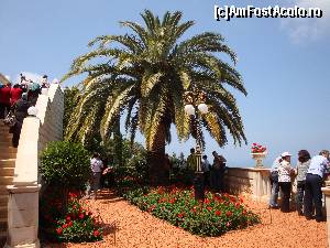 [P91] Haifa - Grădinile Bahá'í, vedere din zona Balconului Yefe Nof » foto by mariana.olaru
 - 
<span class="allrVoted glyphicon glyphicon-heart hidden" id="av628771"></span>
<a class="m-l-10 hidden" id="sv628771" onclick="voting_Foto_DelVot(,628771,4368)" role="button">șterge vot <span class="glyphicon glyphicon-remove"></span></a>
<a id="v9628771" class=" c-red"  onclick="voting_Foto_SetVot(628771)" role="button"><span class="glyphicon glyphicon-heart-empty"></span> <b>LIKE</b> = Votează poza</a> <img class="hidden"  id="f628771W9" src="/imagini/loader.gif" border="0" /><span class="AjErrMes hidden" id="e628771ErM"></span>