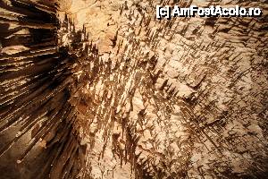 [P04] 'Cuevas del Drach' / Vizitarea pesterii se face fara ghid, nu ai voie sa pozezi sau sa filmezi!  » foto by balasa violeta
 - 
<span class="allrVoted glyphicon glyphicon-heart hidden" id="av455157"></span>
<a class="m-l-10 hidden" id="sv455157" onclick="voting_Foto_DelVot(,455157,4407)" role="button">șterge vot <span class="glyphicon glyphicon-remove"></span></a>
<a id="v9455157" class=" c-red"  onclick="voting_Foto_SetVot(455157)" role="button"><span class="glyphicon glyphicon-heart-empty"></span> <b>LIKE</b> = Votează poza</a> <img class="hidden"  id="f455157W9" src="/imagini/loader.gif" border="0" /><span class="AjErrMes hidden" id="e455157ErM"></span>