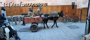 [P29] Marrakech, Medina este aprovizionată de bicicliști, motocicliști, de cotigi cu măgăruși » foto by mprofeanu
 - 
<span class="allrVoted glyphicon glyphicon-heart hidden" id="av1505087"></span>
<a class="m-l-10 hidden" id="sv1505087" onclick="voting_Foto_DelVot(,1505087,4416)" role="button">șterge vot <span class="glyphicon glyphicon-remove"></span></a>
<a id="v91505087" class=" c-red"  onclick="voting_Foto_SetVot(1505087)" role="button"><span class="glyphicon glyphicon-heart-empty"></span> <b>LIKE</b> = Votează poza</a> <img class="hidden"  id="f1505087W9" src="/imagini/loader.gif" border="0" /><span class="AjErrMes hidden" id="e1505087ErM"></span>