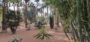 [P44] prin gradina » foto by DanSta
 - 
<span class="allrVoted glyphicon glyphicon-heart hidden" id="av1480227"></span>
<a class="m-l-10 hidden" id="sv1480227" onclick="voting_Foto_DelVot(,1480227,4416)" role="button">șterge vot <span class="glyphicon glyphicon-remove"></span></a>
<a id="v91480227" class=" c-red"  onclick="voting_Foto_SetVot(1480227)" role="button"><span class="glyphicon glyphicon-heart-empty"></span> <b>LIKE</b> = Votează poza</a> <img class="hidden"  id="f1480227W9" src="/imagini/loader.gif" border="0" /><span class="AjErrMes hidden" id="e1480227ErM"></span>