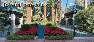 [P22] În curtea hotelului La Mamounia » foto by irinad
 - 
<span class="allrVoted glyphicon glyphicon-heart hidden" id="av1509047"></span>
<a class="m-l-10 hidden" id="sv1509047" onclick="voting_Foto_DelVot(,1509047,4416)" role="button">șterge vot <span class="glyphicon glyphicon-remove"></span></a>
<a id="v91509047" class=" c-red"  onclick="voting_Foto_SetVot(1509047)" role="button"><span class="glyphicon glyphicon-heart-empty"></span> <b>LIKE</b> = Votează poza</a> <img class="hidden"  id="f1509047W9" src="/imagini/loader.gif" border="0" /><span class="AjErrMes hidden" id="e1509047ErM"></span>