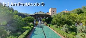 [P85] Le Jardin Secret » foto by irinad
 - 
<span class="allrVoted glyphicon glyphicon-heart hidden" id="av1509110"></span>
<a class="m-l-10 hidden" id="sv1509110" onclick="voting_Foto_DelVot(,1509110,4416)" role="button">șterge vot <span class="glyphicon glyphicon-remove"></span></a>
<a id="v91509110" class=" c-red"  onclick="voting_Foto_SetVot(1509110)" role="button"><span class="glyphicon glyphicon-heart-empty"></span> <b>LIKE</b> = Votează poza</a> <img class="hidden"  id="f1509110W9" src="/imagini/loader.gif" border="0" /><span class="AjErrMes hidden" id="e1509110ErM"></span>