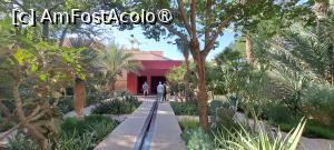 [P90] Le Jardin Secret, Grădina Exotică » foto by irinad
 - 
<span class="allrVoted glyphicon glyphicon-heart hidden" id="av1509115"></span>
<a class="m-l-10 hidden" id="sv1509115" onclick="voting_Foto_DelVot(,1509115,4416)" role="button">șterge vot <span class="glyphicon glyphicon-remove"></span></a>
<a id="v91509115" class=" c-red"  onclick="voting_Foto_SetVot(1509115)" role="button"><span class="glyphicon glyphicon-heart-empty"></span> <b>LIKE</b> = Votează poza</a> <img class="hidden"  id="f1509115W9" src="/imagini/loader.gif" border="0" /><span class="AjErrMes hidden" id="e1509115ErM"></span>