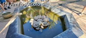 [P92] Le Jardin Secret, Grădina Exotică, bazin cu broscuțe țestoase » foto by irinad
 - 
<span class="allrVoted glyphicon glyphicon-heart hidden" id="av1509117"></span>
<a class="m-l-10 hidden" id="sv1509117" onclick="voting_Foto_DelVot(,1509117,4416)" role="button">șterge vot <span class="glyphicon glyphicon-remove"></span></a>
<a id="v91509117" class=" c-red"  onclick="voting_Foto_SetVot(1509117)" role="button"><span class="glyphicon glyphicon-heart-empty"></span> <b>LIKE</b> = Votează poza</a> <img class="hidden"  id="f1509117W9" src="/imagini/loader.gif" border="0" /><span class="AjErrMes hidden" id="e1509117ErM"></span>