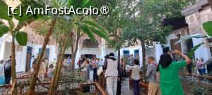 [P50] Palatul Bahia, Curtea Mică » foto by irinad
 - 
<span class="allrVoted glyphicon glyphicon-heart hidden" id="av1509875"></span>
<a class="m-l-10 hidden" id="sv1509875" onclick="voting_Foto_DelVot(,1509875,4416)" role="button">șterge vot <span class="glyphicon glyphicon-remove"></span></a>
<a id="v91509875" class=" c-red"  onclick="voting_Foto_SetVot(1509875)" role="button"><span class="glyphicon glyphicon-heart-empty"></span> <b>LIKE</b> = Votează poza</a> <img class="hidden"  id="f1509875W9" src="/imagini/loader.gif" border="0" /><span class="AjErrMes hidden" id="e1509875ErM"></span>