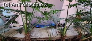 [P87] Mall Menara, fântână pe perete » foto by irinad
 - 
<span class="allrVoted glyphicon glyphicon-heart hidden" id="av1509912"></span>
<a class="m-l-10 hidden" id="sv1509912" onclick="voting_Foto_DelVot(,1509912,4416)" role="button">șterge vot <span class="glyphicon glyphicon-remove"></span></a>
<a id="v91509912" class=" c-red"  onclick="voting_Foto_SetVot(1509912)" role="button"><span class="glyphicon glyphicon-heart-empty"></span> <b>LIKE</b> = Votează poza</a> <img class="hidden"  id="f1509912W9" src="/imagini/loader.gif" border="0" /><span class="AjErrMes hidden" id="e1509912ErM"></span>