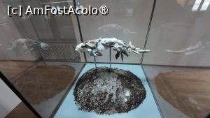 [P54] Copenhaga - turnul rotund » foto by Dragoș_MD
 - 
<span class="allrVoted glyphicon glyphicon-heart hidden" id="av1512572"></span>
<a class="m-l-10 hidden" id="sv1512572" onclick="voting_Foto_DelVot(,1512572,4424)" role="button">șterge vot <span class="glyphicon glyphicon-remove"></span></a>
<a id="v91512572" class=" c-red"  onclick="voting_Foto_SetVot(1512572)" role="button"><span class="glyphicon glyphicon-heart-empty"></span> <b>LIKE</b> = Votează poza</a> <img class="hidden"  id="f1512572W9" src="/imagini/loader.gif" border="0" /><span class="AjErrMes hidden" id="e1512572ErM"></span>