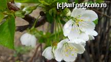 [P27]  -- <small>// FĂRĂ DESCRIERE</small> » foto by cotoranu
 - 
<span class="allrVoted glyphicon glyphicon-heart hidden" id="av396596"></span>
<a class="m-l-10 hidden" id="sv396596" onclick="voting_Foto_DelVot(,396596,4457)" role="button">șterge vot <span class="glyphicon glyphicon-remove"></span></a>
<a id="v9396596" class=" c-red"  onclick="voting_Foto_SetVot(396596)" role="button"><span class="glyphicon glyphicon-heart-empty"></span> <b>LIKE</b> = Votează poza</a> <img class="hidden"  id="f396596W9" src="/imagini/loader.gif" border="0" /><span class="AjErrMes hidden" id="e396596ErM"></span>