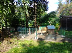 [P19] Zoo Ploiești, Bucov » foto by Mioritik
 - 
<span class="allrVoted glyphicon glyphicon-heart hidden" id="av1247801"></span>
<a class="m-l-10 hidden" id="sv1247801" onclick="voting_Foto_DelVot(,1247801,4463)" role="button">șterge vot <span class="glyphicon glyphicon-remove"></span></a>
<a id="v91247801" class=" c-red"  onclick="voting_Foto_SetVot(1247801)" role="button"><span class="glyphicon glyphicon-heart-empty"></span> <b>LIKE</b> = Votează poza</a> <img class="hidden"  id="f1247801W9" src="/imagini/loader.gif" border="0" /><span class="AjErrMes hidden" id="e1247801ErM"></span>