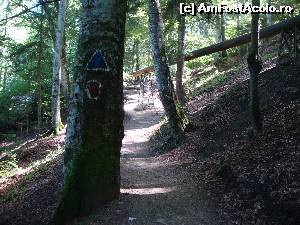 [P42] Urcușul abrupt este viața noastră. Daa, sigur... M-ați crezut, nu?  » foto by Floryn81
 - 
<span class="allrVoted glyphicon glyphicon-heart hidden" id="av639860"></span>
<a class="m-l-10 hidden" id="sv639860" onclick="voting_Foto_DelVot(,639860,4537)" role="button">șterge vot <span class="glyphicon glyphicon-remove"></span></a>
<a id="v9639860" class=" c-red"  onclick="voting_Foto_SetVot(639860)" role="button"><span class="glyphicon glyphicon-heart-empty"></span> <b>LIKE</b> = Votează poza</a> <img class="hidden"  id="f639860W9" src="/imagini/loader.gif" border="0" /><span class="AjErrMes hidden" id="e639860ErM"></span>