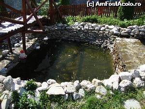 [P85] Câteva rățuște se bucură de apă într-un iaz micuț din curtea mănăstirii.  » foto by Floryn81
 - 
<span class="allrVoted glyphicon glyphicon-heart hidden" id="av639903"></span>
<a class="m-l-10 hidden" id="sv639903" onclick="voting_Foto_DelVot(,639903,4537)" role="button">șterge vot <span class="glyphicon glyphicon-remove"></span></a>
<a id="v9639903" class=" c-red"  onclick="voting_Foto_SetVot(639903)" role="button"><span class="glyphicon glyphicon-heart-empty"></span> <b>LIKE</b> = Votează poza</a> <img class="hidden"  id="f639903W9" src="/imagini/loader.gif" border="0" /><span class="AjErrMes hidden" id="e639903ErM"></span>