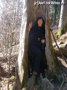 [P17] Tainele padurii... » foto by ghemonica
 - 
<span class="allrVoted glyphicon glyphicon-heart hidden" id="av303445"></span>
<a class="m-l-10 hidden" id="sv303445" onclick="voting_Foto_DelVot(,303445,4537)" role="button">șterge vot <span class="glyphicon glyphicon-remove"></span></a>
<a id="v9303445" class=" c-red"  onclick="voting_Foto_SetVot(303445)" role="button"><span class="glyphicon glyphicon-heart-empty"></span> <b>LIKE</b> = Votează poza</a> <img class="hidden"  id="f303445W9" src="/imagini/loader.gif" border="0" /><span class="AjErrMes hidden" id="e303445ErM"></span>