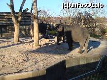 [P18] Wilhelma - Gradina Zoologica /  » foto by iriss27
 - 
<span class="allrVoted glyphicon glyphicon-heart hidden" id="av184864"></span>
<a class="m-l-10 hidden" id="sv184864" onclick="voting_Foto_DelVot(,184864,4539)" role="button">șterge vot <span class="glyphicon glyphicon-remove"></span></a>
<a id="v9184864" class=" c-red"  onclick="voting_Foto_SetVot(184864)" role="button"><span class="glyphicon glyphicon-heart-empty"></span> <b>LIKE</b> = Votează poza</a> <img class="hidden"  id="f184864W9" src="/imagini/loader.gif" border="0" /><span class="AjErrMes hidden" id="e184864ErM"></span>