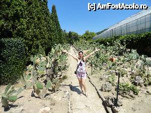 [P07] expozitia de cactusi de la gradina botanica de la balcik » foto by monika27*
 - 
<span class="allrVoted glyphicon glyphicon-heart hidden" id="av446631"></span>
<a class="m-l-10 hidden" id="sv446631" onclick="voting_Foto_DelVot(,446631,4546)" role="button">șterge vot <span class="glyphicon glyphicon-remove"></span></a>
<a id="v9446631" class=" c-red"  onclick="voting_Foto_SetVot(446631)" role="button"><span class="glyphicon glyphicon-heart-empty"></span> <b>LIKE</b> = Votează poza</a> <img class="hidden"  id="f446631W9" src="/imagini/loader.gif" border="0" /><span class="AjErrMes hidden" id="e446631ErM"></span>