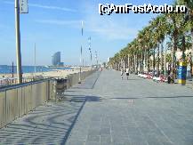 [P03] Plaja Barceloneta » foto by tzesti*
 - 
<span class="allrVoted glyphicon glyphicon-heart hidden" id="av164054"></span>
<a class="m-l-10 hidden" id="sv164054" onclick="voting_Foto_DelVot(,164054,4557)" role="button">șterge vot <span class="glyphicon glyphicon-remove"></span></a>
<a id="v9164054" class=" c-red"  onclick="voting_Foto_SetVot(164054)" role="button"><span class="glyphicon glyphicon-heart-empty"></span> <b>LIKE</b> = Votează poza</a> <img class="hidden"  id="f164054W9" src="/imagini/loader.gif" border="0" /><span class="AjErrMes hidden" id="e164054ErM"></span>