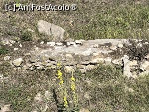 [P03] Sic transit gloria mundi , sau, ruinele Ibida, al doilea cel mai mare oraș al Dobrogei antice » foto by Yersinia Pestis
 - 
<span class="allrVoted glyphicon glyphicon-heart hidden" id="av1503241"></span>
<a class="m-l-10 hidden" id="sv1503241" onclick="voting_Foto_DelVot(,1503241,4623)" role="button">șterge vot <span class="glyphicon glyphicon-remove"></span></a>
<a id="v91503241" class=" c-red"  onclick="voting_Foto_SetVot(1503241)" role="button"><span class="glyphicon glyphicon-heart-empty"></span> <b>LIKE</b> = Votează poza</a> <img class="hidden"  id="f1503241W9" src="/imagini/loader.gif" border="0" /><span class="AjErrMes hidden" id="e1503241ErM"></span>