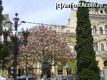 [P23] Tg. Mures - magnolia care pazeste parcul central » foto by biancuta
 - 
<span class="allrVoted glyphicon glyphicon-heart hidden" id="av68399"></span>
<a class="m-l-10 hidden" id="sv68399" onclick="voting_Foto_DelVot(,68399,4629)" role="button">șterge vot <span class="glyphicon glyphicon-remove"></span></a>
<a id="v968399" class=" c-red"  onclick="voting_Foto_SetVot(68399)" role="button"><span class="glyphicon glyphicon-heart-empty"></span> <b>LIKE</b> = Votează poza</a> <img class="hidden"  id="f68399W9" src="/imagini/loader.gif" border="0" /><span class="AjErrMes hidden" id="e68399ErM"></span>