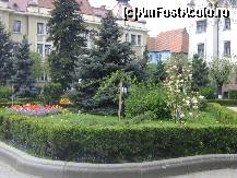 [P37] Tg. Mures - flori in cetru, in fata Consiliului Judetean » foto by biancuta
 - 
<span class="allrVoted glyphicon glyphicon-heart hidden" id="av68413"></span>
<a class="m-l-10 hidden" id="sv68413" onclick="voting_Foto_DelVot(,68413,4629)" role="button">șterge vot <span class="glyphicon glyphicon-remove"></span></a>
<a id="v968413" class=" c-red"  onclick="voting_Foto_SetVot(68413)" role="button"><span class="glyphicon glyphicon-heart-empty"></span> <b>LIKE</b> = Votează poza</a> <img class="hidden"  id="f68413W9" src="/imagini/loader.gif" border="0" /><span class="AjErrMes hidden" id="e68413ErM"></span>