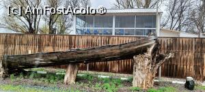 [P26] O terasă, în port la Oltenița. » foto by tata123 🔱
 - 
<span class="allrVoted glyphicon glyphicon-heart hidden" id="av1531767"></span>
<a class="m-l-10 hidden" id="sv1531767" onclick="voting_Foto_DelVot(,1531767,4656)" role="button">șterge vot <span class="glyphicon glyphicon-remove"></span></a>
<a id="v91531767" class=" c-red"  onclick="voting_Foto_SetVot(1531767)" role="button"><span class="glyphicon glyphicon-heart-empty"></span> <b>LIKE</b> = Votează poza</a> <img class="hidden"  id="f1531767W9" src="/imagini/loader.gif" border="0" /><span class="AjErrMes hidden" id="e1531767ErM"></span>