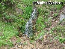 [P15] o cascada in miniatura langa soseaua Transalpina » foto by valimi
 - 
<span class="allrVoted glyphicon glyphicon-heart hidden" id="av75715"></span>
<a class="m-l-10 hidden" id="sv75715" onclick="voting_Foto_DelVot(,75715,4665)" role="button">șterge vot <span class="glyphicon glyphicon-remove"></span></a>
<a id="v975715" class=" c-red"  onclick="voting_Foto_SetVot(75715)" role="button"><span class="glyphicon glyphicon-heart-empty"></span> <b>LIKE</b> = Votează poza</a> <img class="hidden"  id="f75715W9" src="/imagini/loader.gif" border="0" /><span class="AjErrMes hidden" id="e75715ErM"></span>