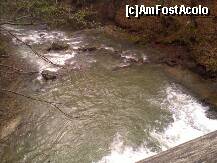 [P02] Raul din Olanesti, imagine surprinsa pe podul de la cascada » foto by a_raluk
 - 
<span class="allrVoted glyphicon glyphicon-heart hidden" id="av179602"></span>
<a class="m-l-10 hidden" id="sv179602" onclick="voting_Foto_DelVot(,179602,4666)" role="button">șterge vot <span class="glyphicon glyphicon-remove"></span></a>
<a id="v9179602" class=" c-red"  onclick="voting_Foto_SetVot(179602)" role="button"><span class="glyphicon glyphicon-heart-empty"></span> <b>LIKE</b> = Votează poza</a> <img class="hidden"  id="f179602W9" src="/imagini/loader.gif" border="0" /><span class="AjErrMes hidden" id="e179602ErM"></span>