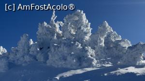 [P32] Munții Ciucaș - de la Bratocea pe Vârful Ciucaș » foto by Mika
 - 
<span class="allrVoted glyphicon glyphicon-heart hidden" id="av1516106"></span>
<a class="m-l-10 hidden" id="sv1516106" onclick="voting_Foto_DelVot(,1516106,4696)" role="button">șterge vot <span class="glyphicon glyphicon-remove"></span></a>
<a id="v91516106" class=" c-red"  onclick="voting_Foto_SetVot(1516106)" role="button"><span class="glyphicon glyphicon-heart-empty"></span> <b>LIKE</b> = Votează poza</a> <img class="hidden"  id="f1516106W9" src="/imagini/loader.gif" border="0" /><span class="AjErrMes hidden" id="e1516106ErM"></span>