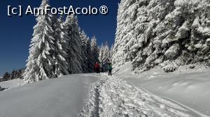 [P05] Munții Ciucaș - de la Bratocea pe Vârful Ciucaș » foto by Mika
 - 
<span class="allrVoted glyphicon glyphicon-heart hidden" id="av1516079"></span>
<a class="m-l-10 hidden" id="sv1516079" onclick="voting_Foto_DelVot(,1516079,4696)" role="button">șterge vot <span class="glyphicon glyphicon-remove"></span></a>
<a id="v91516079" class=" c-red"  onclick="voting_Foto_SetVot(1516079)" role="button"><span class="glyphicon glyphicon-heart-empty"></span> <b>LIKE</b> = Votează poza</a> <img class="hidden"  id="f1516079W9" src="/imagini/loader.gif" border="0" /><span class="AjErrMes hidden" id="e1516079ErM"></span>