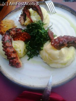 [P07]  -- <small>// FĂRĂ DESCRIERE</small> » foto by Cristian_h
 - 
<span class="allrVoted glyphicon glyphicon-heart hidden" id="av1526398"></span>
<a class="m-l-10 hidden" id="sv1526398" onclick="voting_Foto_DelVot(,1526398,4701)" role="button">șterge vot <span class="glyphicon glyphicon-remove"></span></a>
<a id="v91526398" class=" c-red"  onclick="voting_Foto_SetVot(1526398)" role="button"><span class="glyphicon glyphicon-heart-empty"></span> <b>LIKE</b> = Votează poza</a> <img class="hidden"  id="f1526398W9" src="/imagini/loader.gif" border="0" /><span class="AjErrMes hidden" id="e1526398ErM"></span>