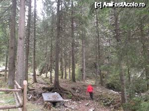 [P22] Prin spatele cabanei Cuca » foto by Aurici
 - 
<span class="allrVoted glyphicon glyphicon-heart hidden" id="av694388"></span>
<a class="m-l-10 hidden" id="sv694388" onclick="voting_Foto_DelVot(,694388,4725)" role="button">șterge vot <span class="glyphicon glyphicon-remove"></span></a>
<a id="v9694388" class=" c-red"  onclick="voting_Foto_SetVot(694388)" role="button"><span class="glyphicon glyphicon-heart-empty"></span> <b>LIKE</b> = Votează poza</a> <img class="hidden"  id="f694388W9" src="/imagini/loader.gif" border="0" /><span class="AjErrMes hidden" id="e694388ErM"></span>