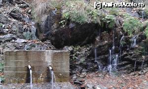 [P26] Un izvor pe drumul spre cabană de unde și noi ne-am alimentat » foto by Aurici
 - 
<span class="allrVoted glyphicon glyphicon-heart hidden" id="av694392"></span>
<a class="m-l-10 hidden" id="sv694392" onclick="voting_Foto_DelVot(,694392,4725)" role="button">șterge vot <span class="glyphicon glyphicon-remove"></span></a>
<a id="v9694392" class=" c-red"  onclick="voting_Foto_SetVot(694392)" role="button"><span class="glyphicon glyphicon-heart-empty"></span> <b>LIKE</b> = Votează poza</a> <img class="hidden"  id="f694392W9" src="/imagini/loader.gif" border="0" /><span class="AjErrMes hidden" id="e694392ErM"></span>