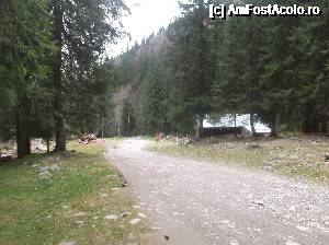 [P27] Un punct forestier pe drumul spre cabană » foto by Aurici
 - 
<span class="allrVoted glyphicon glyphicon-heart hidden" id="av694393"></span>
<a class="m-l-10 hidden" id="sv694393" onclick="voting_Foto_DelVot(,694393,4725)" role="button">șterge vot <span class="glyphicon glyphicon-remove"></span></a>
<a id="v9694393" class=" c-red"  onclick="voting_Foto_SetVot(694393)" role="button"><span class="glyphicon glyphicon-heart-empty"></span> <b>LIKE</b> = Votează poza</a> <img class="hidden"  id="f694393W9" src="/imagini/loader.gif" border="0" /><span class="AjErrMes hidden" id="e694393ErM"></span>