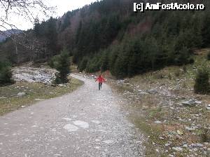 [P28] În pas săltat pe drumul de întoarcere » foto by Aurici
 - 
<span class="allrVoted glyphicon glyphicon-heart hidden" id="av694394"></span>
<a class="m-l-10 hidden" id="sv694394" onclick="voting_Foto_DelVot(,694394,4725)" role="button">șterge vot <span class="glyphicon glyphicon-remove"></span></a>
<a id="v9694394" class=" c-red"  onclick="voting_Foto_SetVot(694394)" role="button"><span class="glyphicon glyphicon-heart-empty"></span> <b>LIKE</b> = Votează poza</a> <img class="hidden"  id="f694394W9" src="/imagini/loader.gif" border="0" /><span class="AjErrMes hidden" id="e694394ErM"></span>