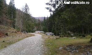 [P03] Pe la începutul traseului către Cabana Cuca.  » foto by Aurici
 - 
<span class="allrVoted glyphicon glyphicon-heart hidden" id="av694369"></span>
<a class="m-l-10 hidden" id="sv694369" onclick="voting_Foto_DelVot(,694369,4725)" role="button">șterge vot <span class="glyphicon glyphicon-remove"></span></a>
<a id="v9694369" class=" c-red"  onclick="voting_Foto_SetVot(694369)" role="button"><span class="glyphicon glyphicon-heart-empty"></span> <b>LIKE</b> = Votează poza</a> <img class="hidden"  id="f694369W9" src="/imagini/loader.gif" border="0" /><span class="AjErrMes hidden" id="e694369ErM"></span>