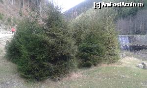 [P04] Drumul a început să urce puțin. În dreapta, căderile de apă, artificiale, care se întâlnesc la tot pasul.  » foto by Aurici
 - 
<span class="allrVoted glyphicon glyphicon-heart hidden" id="av694370"></span>
<a class="m-l-10 hidden" id="sv694370" onclick="voting_Foto_DelVot(,694370,4725)" role="button">șterge vot <span class="glyphicon glyphicon-remove"></span></a>
<a id="v9694370" class=" c-red"  onclick="voting_Foto_SetVot(694370)" role="button"><span class="glyphicon glyphicon-heart-empty"></span> <b>LIKE</b> = Votează poza</a> <img class="hidden"  id="f694370W9" src="/imagini/loader.gif" border="0" /><span class="AjErrMes hidden" id="e694370ErM"></span>