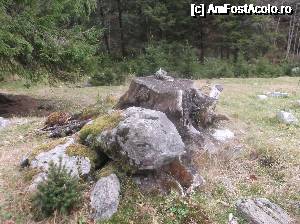 [P08] Buturuga unde ne-am oprit pentru un picnic și pe care am lăsat o decorațiune naturală pe care am luat-o la întoarcere.  » foto by Aurici
 - 
<span class="allrVoted glyphicon glyphicon-heart hidden" id="av694374"></span>
<a class="m-l-10 hidden" id="sv694374" onclick="voting_Foto_DelVot(,694374,4725)" role="button">șterge vot <span class="glyphicon glyphicon-remove"></span></a>
<a id="v9694374" class=" c-red"  onclick="voting_Foto_SetVot(694374)" role="button"><span class="glyphicon glyphicon-heart-empty"></span> <b>LIKE</b> = Votează poza</a> <img class="hidden"  id="f694374W9" src="/imagini/loader.gif" border="0" /><span class="AjErrMes hidden" id="e694374ErM"></span>